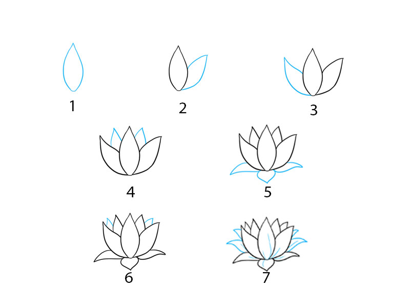16 hình vẽ hoa sen bằng bút chì tuyệt đẹp  Phác thảo hình xăm Hoa sen  Hình vẽ hoa