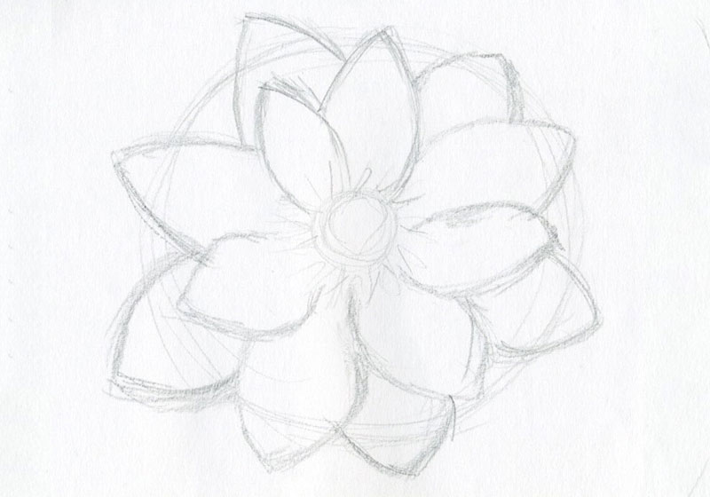 vẽ hoa sen đơn giản bằng bút chì